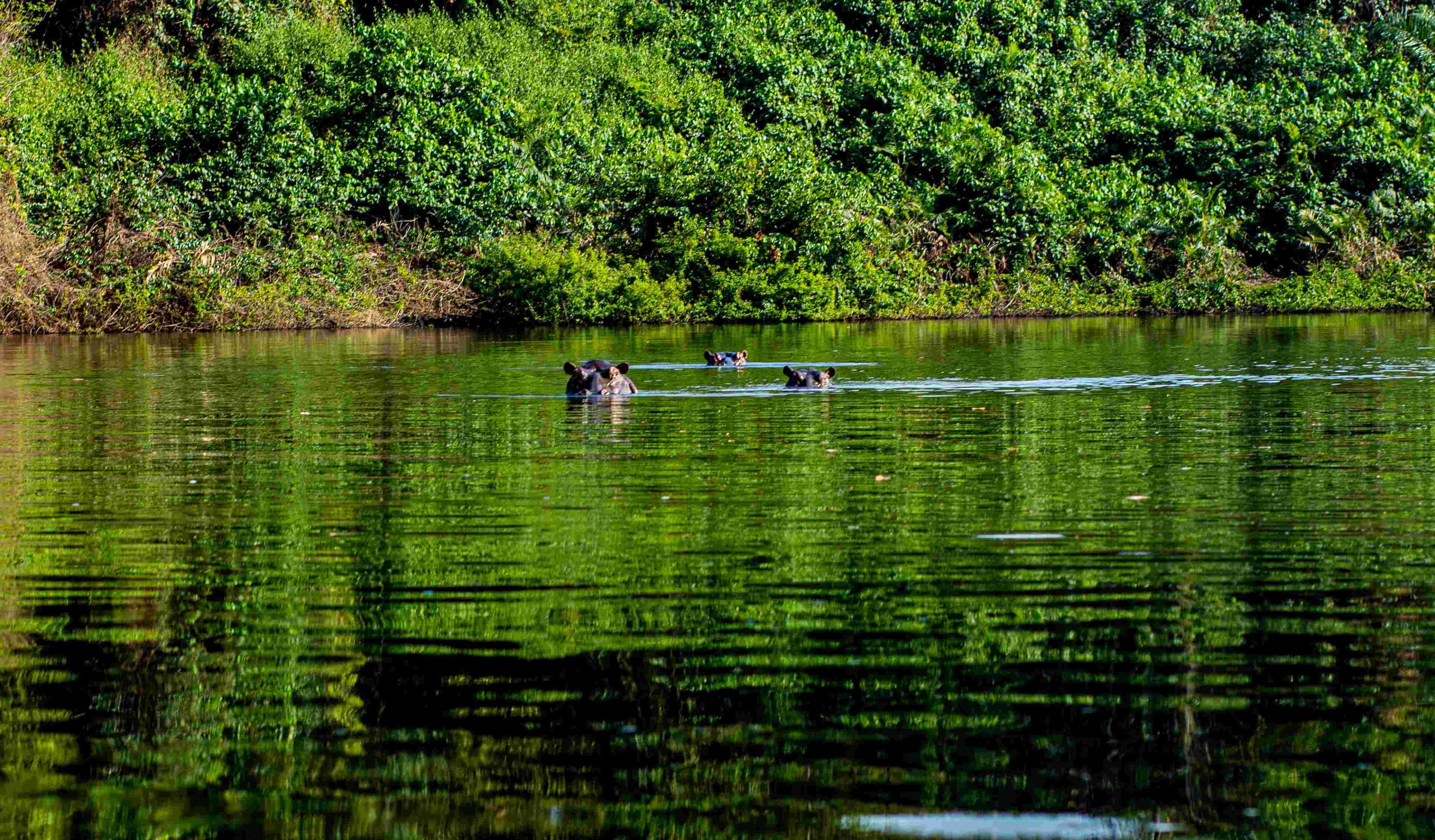Otamba Kilimi National Park