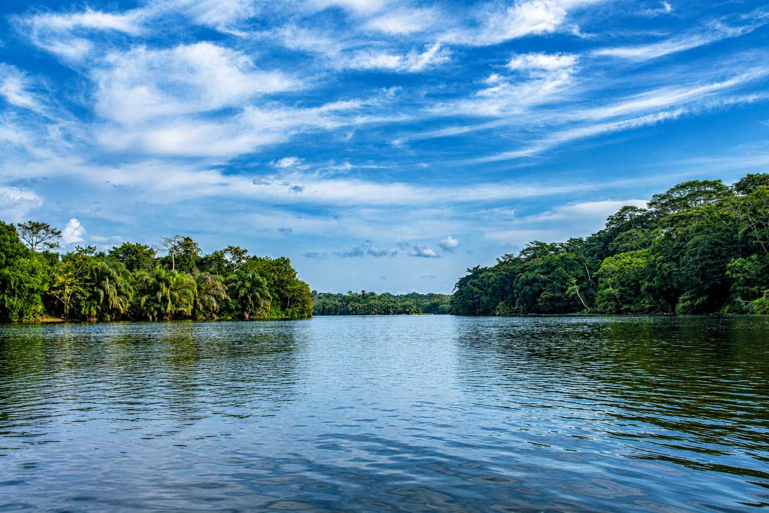 Tiwai Island Wildlife Sanctuary